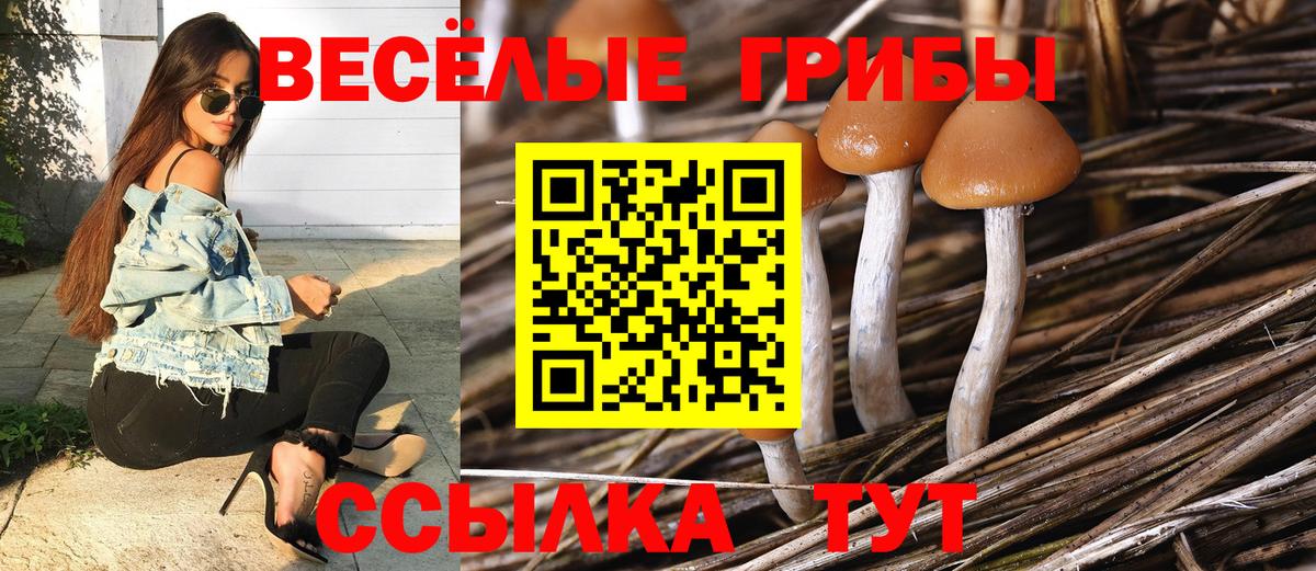 Костомукша  Псилоцибиновые грибы ЛСД  Вход с VPN 